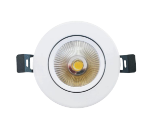 BC Series Adjustable Downlight