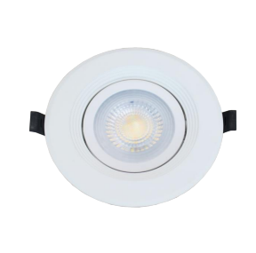 ECO adjustable downlight